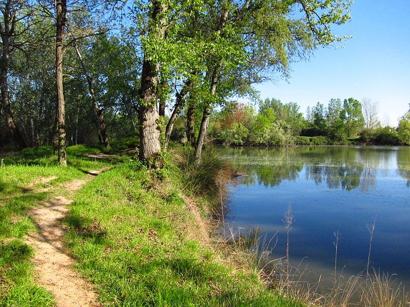 Où investir dans les environs de Toulouse ?