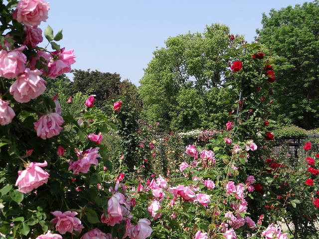 L’Haÿ-les-Roses, une ville de banlieue où investir