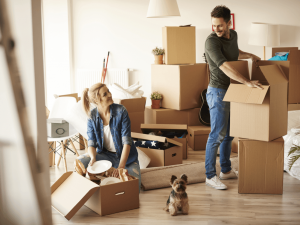 un homme et une femme font des cartons