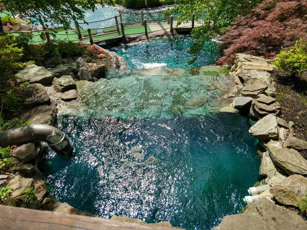 piscine naturelle privée
